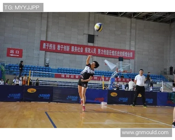 排球团队协作实力榜单揭晓北京排球队荣获第五名佳绩