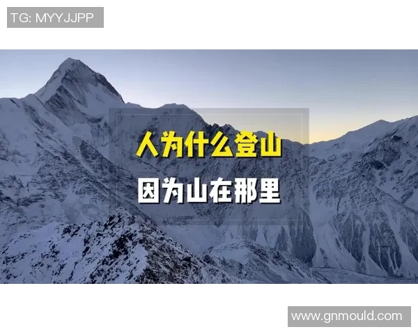 攀登人生的巅峰：周芳与深度对话的启示与反思