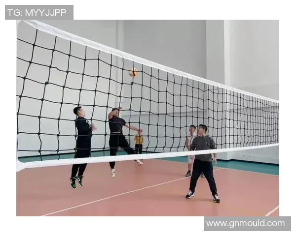 深圳排球队灵活性变革引发热议助力球队新征程