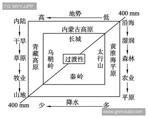 V5战队包夹策略分析及其成败得失的深度探讨